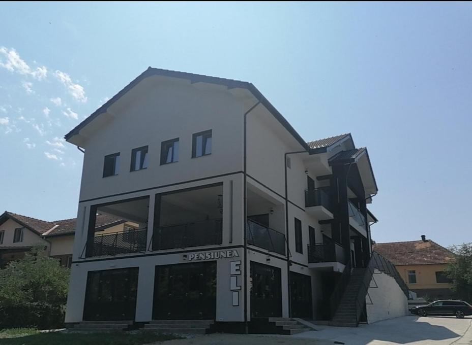 Pensiunea Eli Бузиаш Экстерьер фото